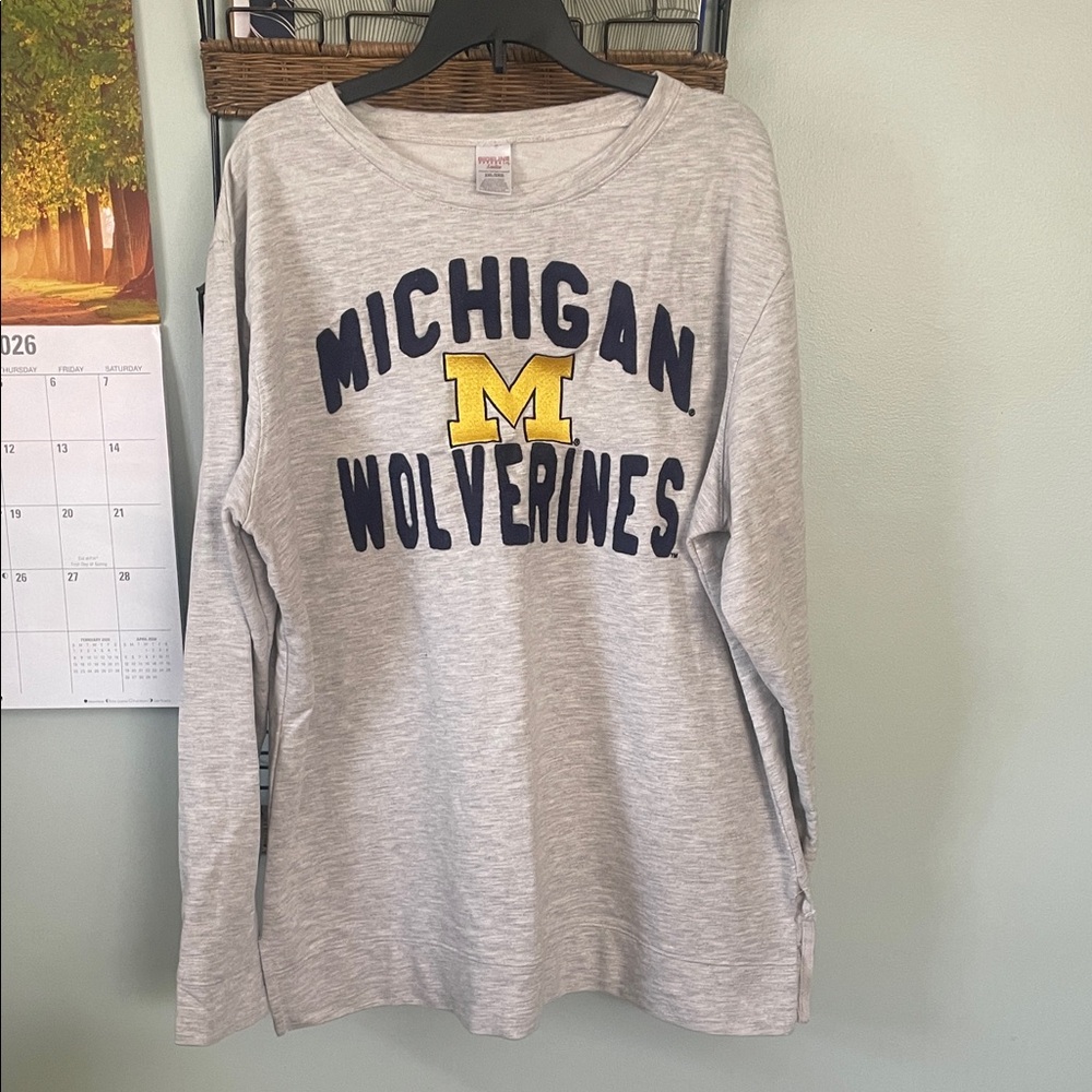 Gray Michigan Wolverines Sweatshirt
